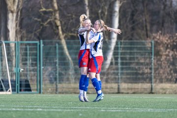 Bild 268 - F Hamburger SV 3 - Blau-Weiss 96 : Ergebnis: 5:1